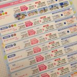 【DWE】ディズニー英語システム サンプル請求からわくわく英語体験レポ。