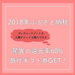 ふるさと納税でディズニーランドへ!私は還元率60%でゲットしました(旅行券+Amazonギフト券)