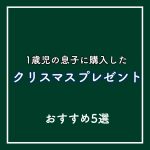 【1歳児~2歳児の知育玩具】私が購入予定のおすすめクリスマスプレゼント5選。